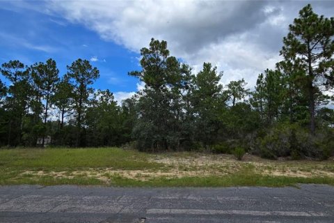 Land in Citrus Springs, Florida № 2162072 - photo 3