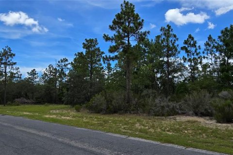 Land in Citrus Springs, Florida № 2162072 - photo 4