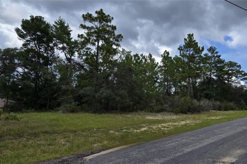Land in Citrus Springs, Florida № 2162072 - photo 5