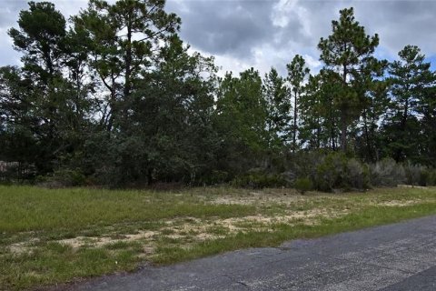 Land in Citrus Springs, Florida № 2162072