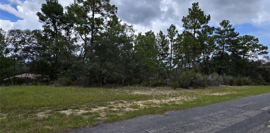 Land in Citrus Springs, Florida № 2162072
