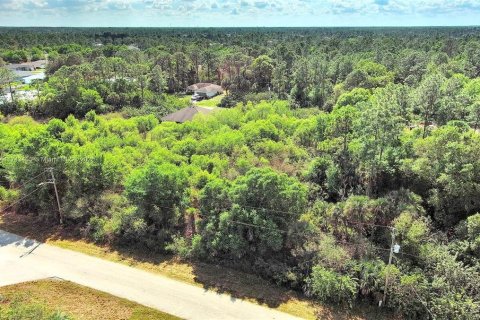 Land in Lehigh Acres, Florida № 2164291 - photo 5