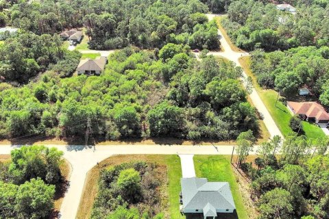 Land in Lehigh Acres, Florida № 2164291 - photo 13