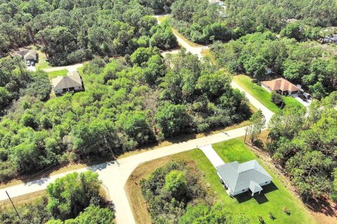 Land in Lehigh Acres, Florida № 2164291 - photo 12
