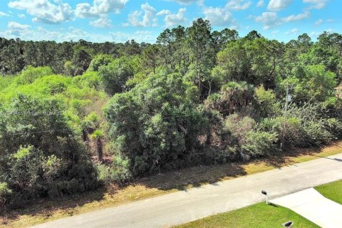 Land in Lehigh Acres, Florida № 2164291