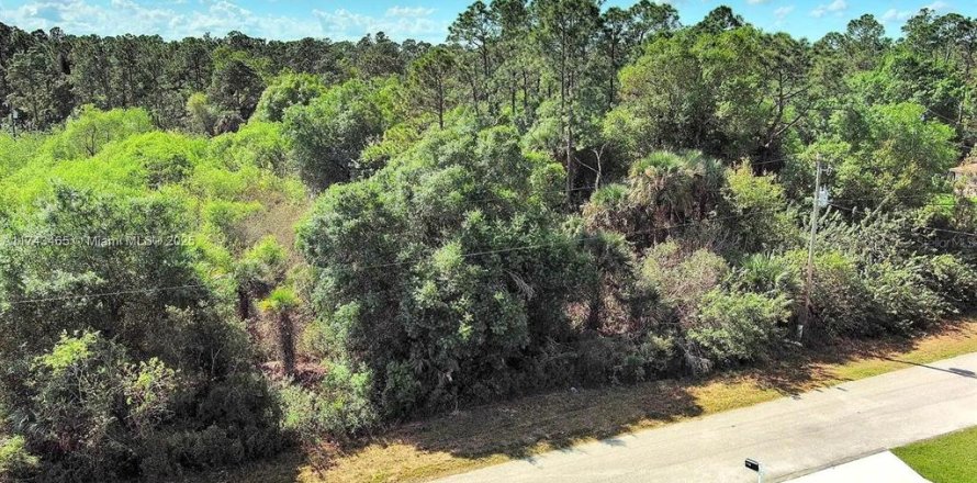 Land in Lehigh Acres, Florida № 2164291