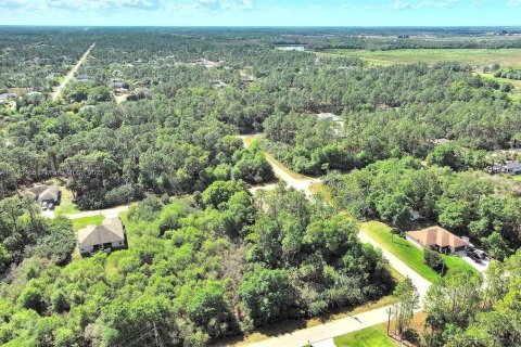 Land in Lehigh Acres, Florida № 2164291 - photo 11
