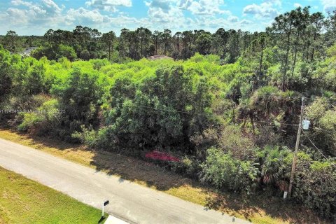 Land in Lehigh Acres, Florida № 2164291 - photo 4