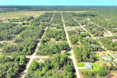 Land in Lehigh Acres, Florida № 2164291 - photo 2