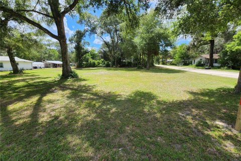 Villa ou maison à Lake Helen, Floride 4 chambres, 222.13 m2 № 2214917