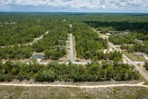 Land in Citrus Springs, Florida № 2215995 - photo 16