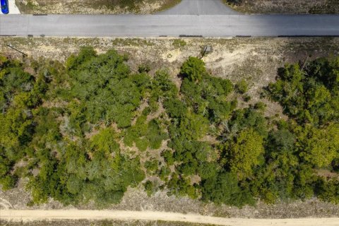 Land in Citrus Springs, Florida № 2215995 - photo 12