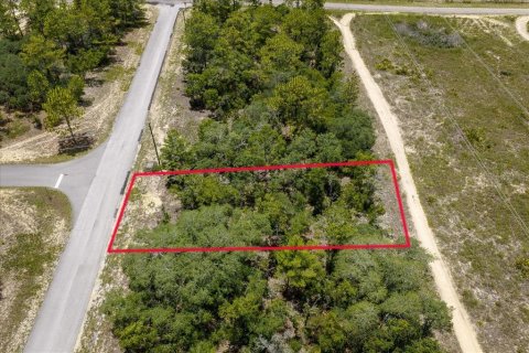 Land in Citrus Springs, Florida № 2215995