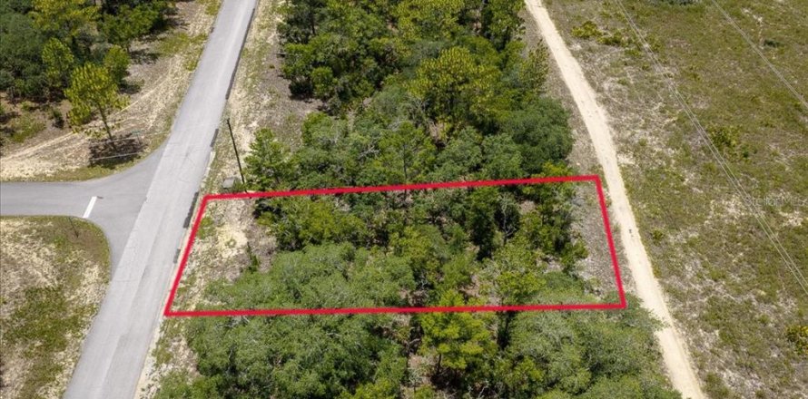 Land in Citrus Springs, Florida № 2215995