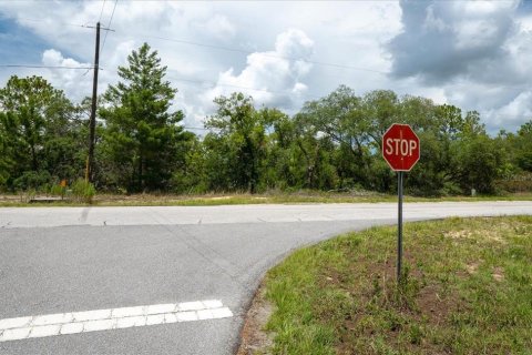 Land in Citrus Springs, Florida № 2215995 - photo 4