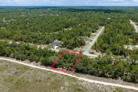 Land in Citrus Springs, Florida № 2215995 - photo 17