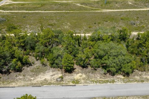 Land in Citrus Springs, Florida № 2215995 - photo 15