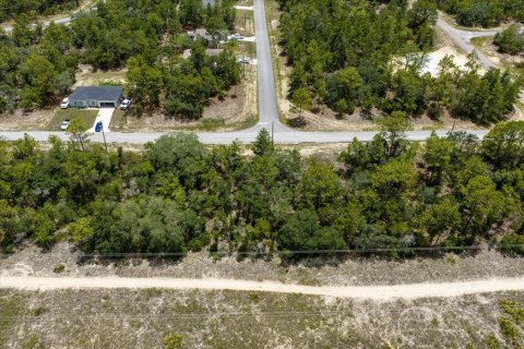 Land in Citrus Springs, Florida № 2215995 - photo 19