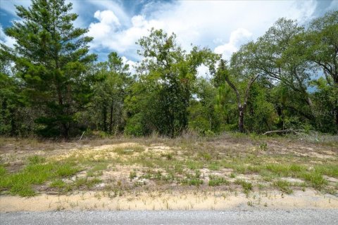 Land in Citrus Springs, Florida № 2215995 - photo 13