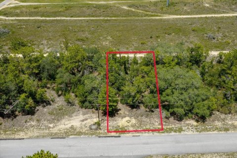 Land in Citrus Springs, Florida № 2215995 - photo 5
