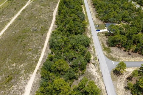 Land in Citrus Springs, Florida № 2215995 - photo 21