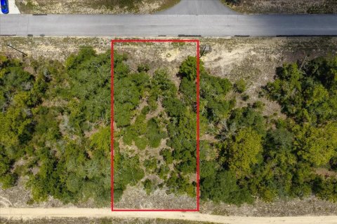 Land in Citrus Springs, Florida № 2215995 - photo 6