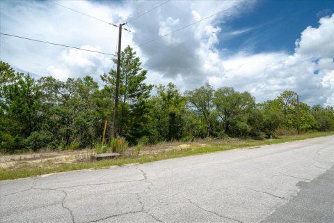 Land in Citrus Springs, Florida № 2215995 - photo 10