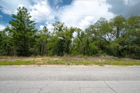 Land in Citrus Springs, Florida № 2215995 - photo 9