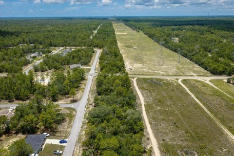 Land in Citrus Springs, Florida № 2215995 - photo 23
