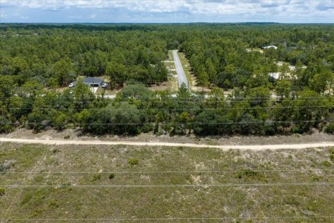 Land in Citrus Springs, Florida № 2215995 - photo 20