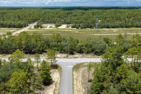 Land in Citrus Springs, Florida № 2215995 - photo 8