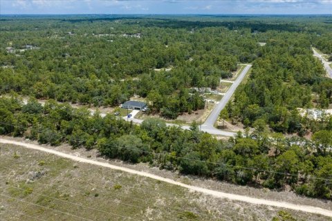 Land in Citrus Springs, Florida № 2215995 - photo 18