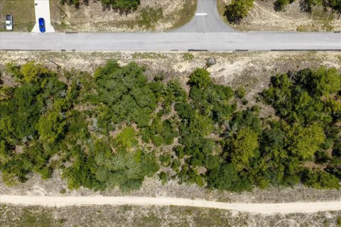 Land in Citrus Springs, Florida № 2215995 - photo 14