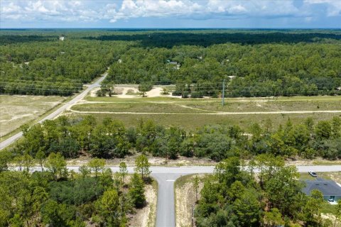 Land in Citrus Springs, Florida № 2215995 - photo 7