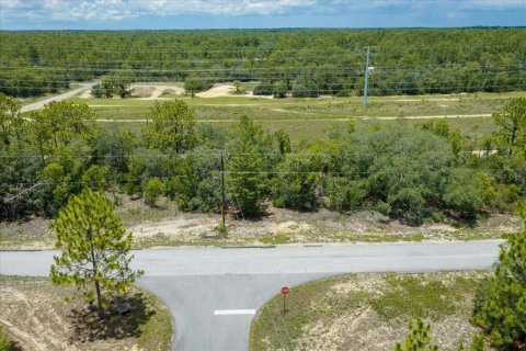 Land in Citrus Springs, Florida № 2215995 - photo 3