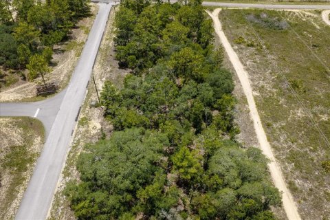 Land in Citrus Springs, Florida № 2215995 - photo 2
