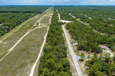 Land in Citrus Springs, Florida № 2215995 - photo 22