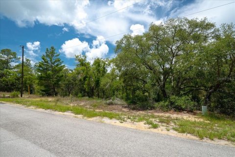 Land in Citrus Springs, Florida № 2215995 - photo 11