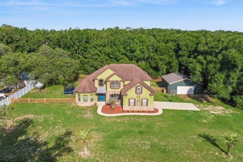 House in Eustis, Florida 5 bedrooms, 257.34 sq.m. № 2210392 - photo 3