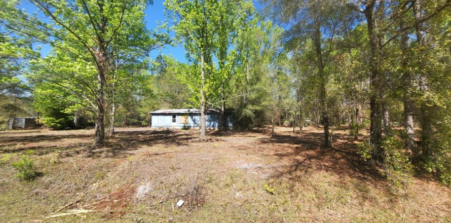 Дом в Миддлберг, Флорида 3 спальни, 157.93м2 № 773495