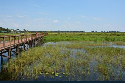 Land in Clewiston, Florida № 1873769 - photo 4