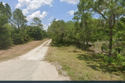 Land in Clewiston, Florida № 1873769 - photo 12