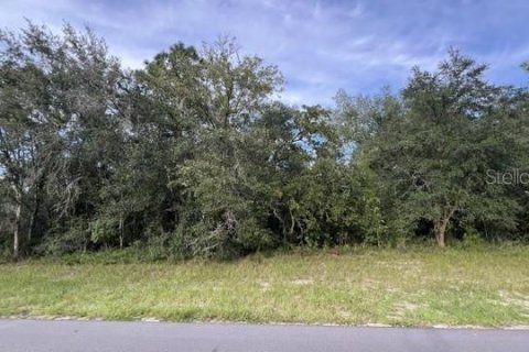 Land in Ocala, Florida № 2375803 - photo 2
