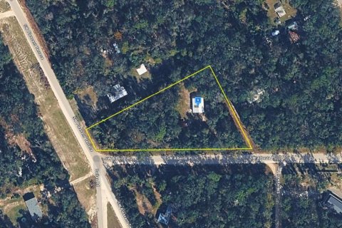 Land in Fort White, Florida № 2117071
