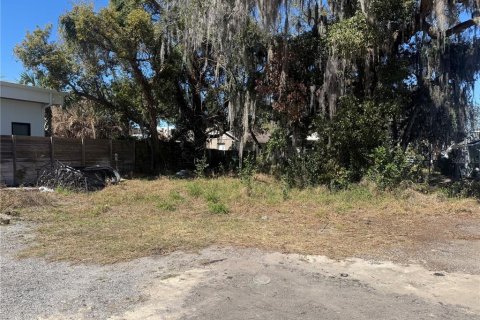Land in Winter Park, Florida № 2278110