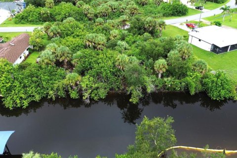 Land in Port Charlotte, Florida № 1894214 - photo 5