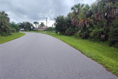 Land in Port Charlotte, Florida № 1894214 - photo 8