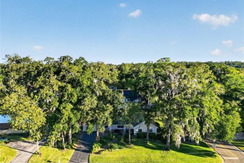 Villa ou maison à vendre à Ocala, Floride: 4 chambres, 213.58 m2 № 2432702 - photo 4