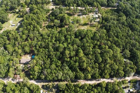 Terreno en venta en Dunnellon, Florida № 2222527 - foto 8