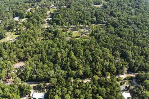 Terreno en venta en Dunnellon, Florida № 2222527 - foto 11